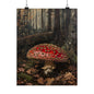 Fly Agaric Mushroom Art Print